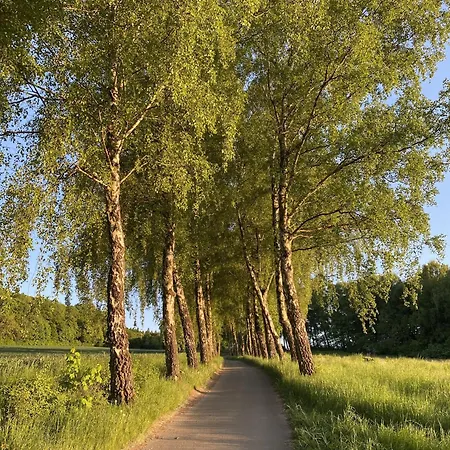 Haus 29 - Nahe Golfplaetzen Und Radwegen Aktivurlaub Und Erholung Perfekt Kombiniert Holiday home